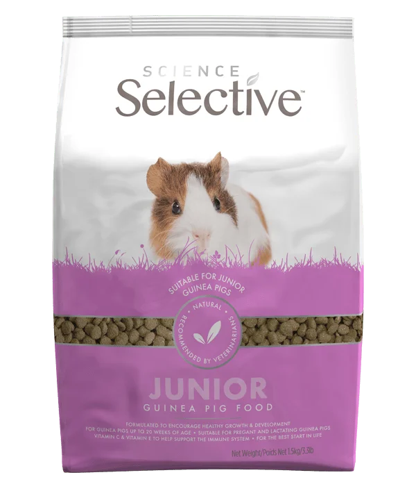 Science Selective Junior Guinea Pig